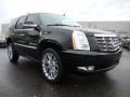 Black Raven - Escalade AWD Photo No. 5