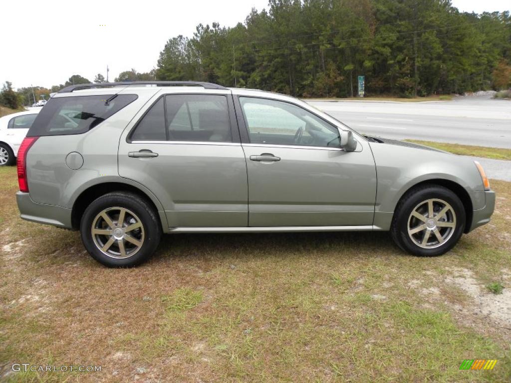 2004 SRX V8 - Silver Green Metallic / Light Neutral photo #12