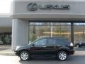 Black Onyx - RX 350 AWD Photo No. 2