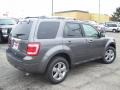Sterling Grey Metallic 2011 Ford Escape Limited V6 Exterior