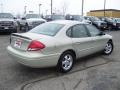 2007 Gold Ash Metallic Ford Taurus SE  photo #5