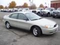 2007 Gold Ash Metallic Ford Taurus SE  photo #7