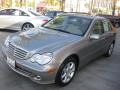 2007 Pewter Metallic Mercedes-Benz C 280 Luxury  photo #5