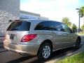 2006 Desert Silver Metallic Mercedes-Benz R 350 4Matic  photo #6