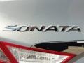 Iridescent Silver Blue Metallic - Sonata Limited Photo No. 14