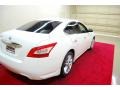 Winter Frost White - Maxima 3.5 SV Photo No. 6