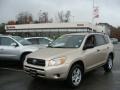 Savannah Metallic - RAV4 4WD Photo No. 1