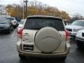 Savannah Metallic - RAV4 4WD Photo No. 5