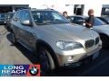 Platinum Bronze Metallic - X5 3.0si Photo No. 1