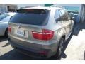 Platinum Bronze Metallic - X5 3.0si Photo No. 3