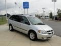 Bright Silver Metallic 2001 Dodge Grand Caravan EX Exterior