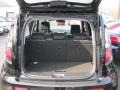 2010 Kia Soul + Trunk
