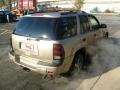 Sandstone Metallic - TrailBlazer LS 4x4 Photo No. 5