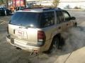 2006 Sandstone Metallic Chevrolet TrailBlazer LS 4x4  photo #5