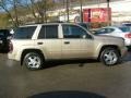 Sandstone Metallic - TrailBlazer LS 4x4 Photo No. 6