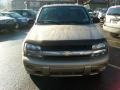 2006 Sandstone Metallic Chevrolet TrailBlazer LS 4x4  photo #8