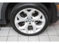Space Grey Metallic - X5 4.8i Photo No. 13