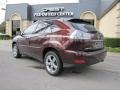 2008 Brandywine Mica Lexus RX 350  photo #5