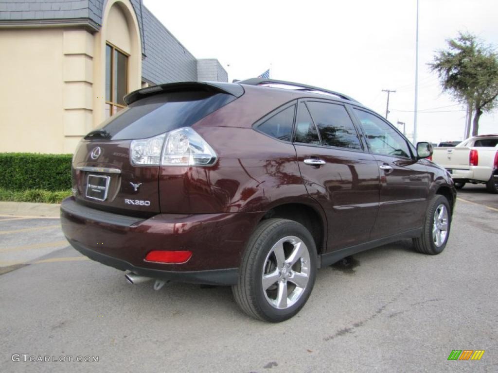 Brandywine Mica 2008 Lexus RX 350 Exterior Photo #40063199