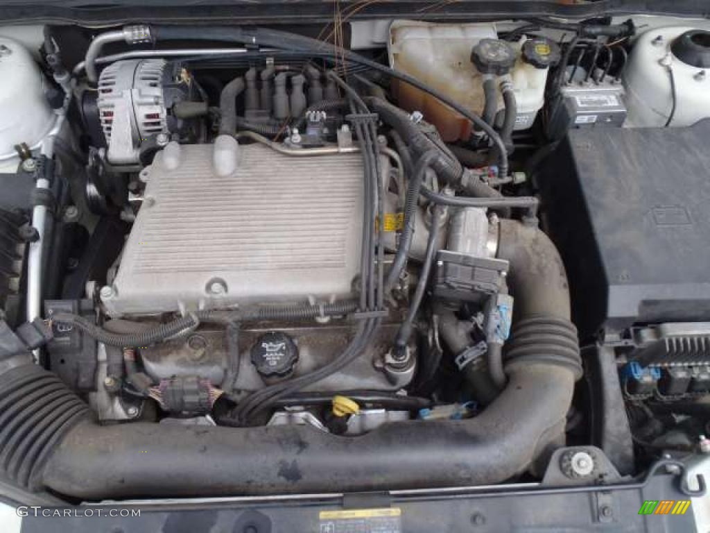 2005 Malibu Maxx LS Wagon - White / Gray photo #12