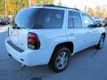 2007 Summit White Chevrolet TrailBlazer LS  photo #5