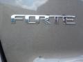  2011 Forte EX 5 Door Logo