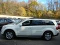 Arctic White - GL 450 4Matic Photo No. 3