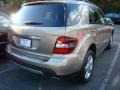 Sand Beige Metallic - ML 350 4Matic Photo No. 4