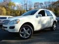 Arctic White - ML 350 4Matic Photo No. 1