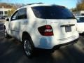 Arctic White - ML 350 4Matic Photo No. 3