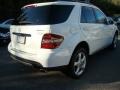 Arctic White - ML 350 4Matic Photo No. 5