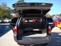 Galactic Gray Mica - 4Runner SR5 Photo No. 14