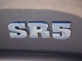Galactic Gray Mica - 4Runner SR5 Photo No. 40