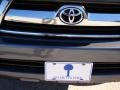 Galactic Gray Mica - 4Runner SR5 Photo No. 41