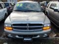 Light Pewter Metallic - Durango SLT 4x4 Photo No. 2