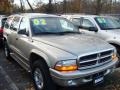 Light Pewter Metallic - Durango SLT 4x4 Photo No. 3