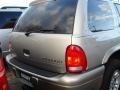 Light Pewter Metallic - Durango SLT 4x4 Photo No. 5