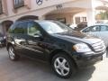 Black - ML 350 4Matic Photo No. 1