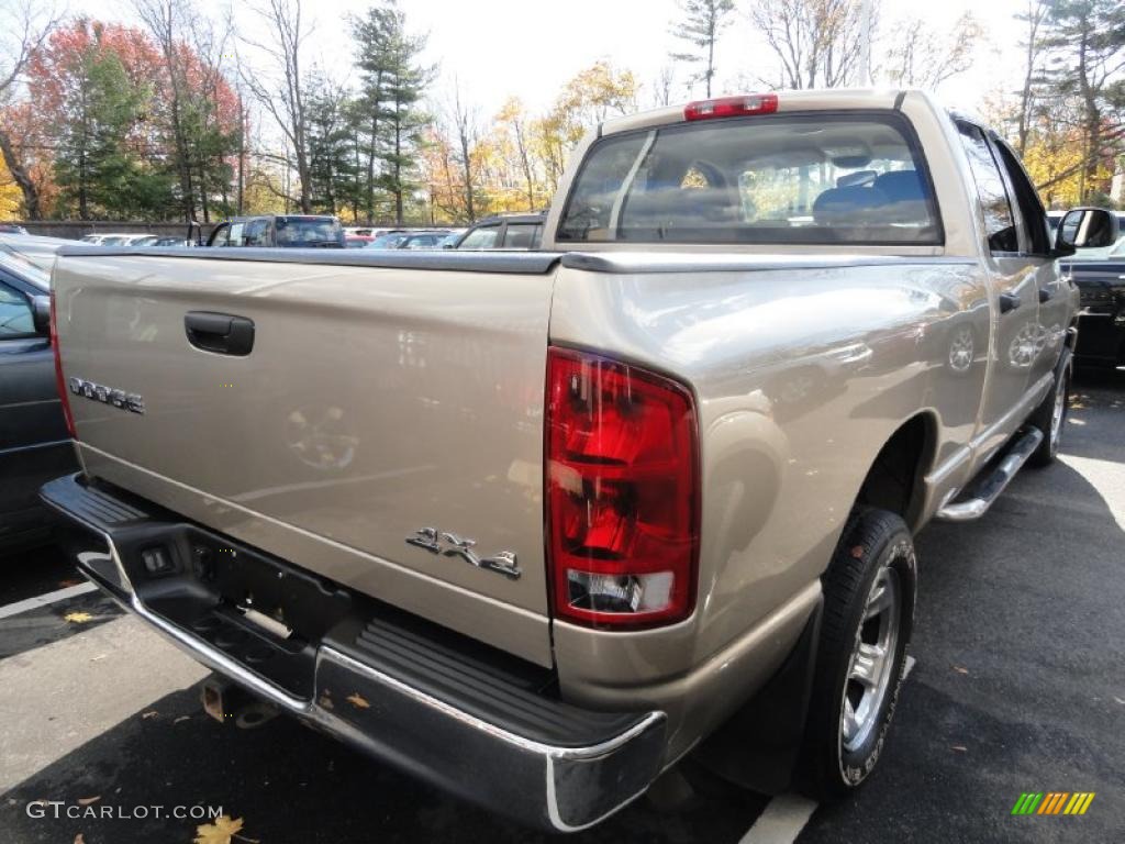 2004 Ram 1500 ST Quad Cab 4x4 - Light Almond Pearl / Dark Slate Gray photo #4