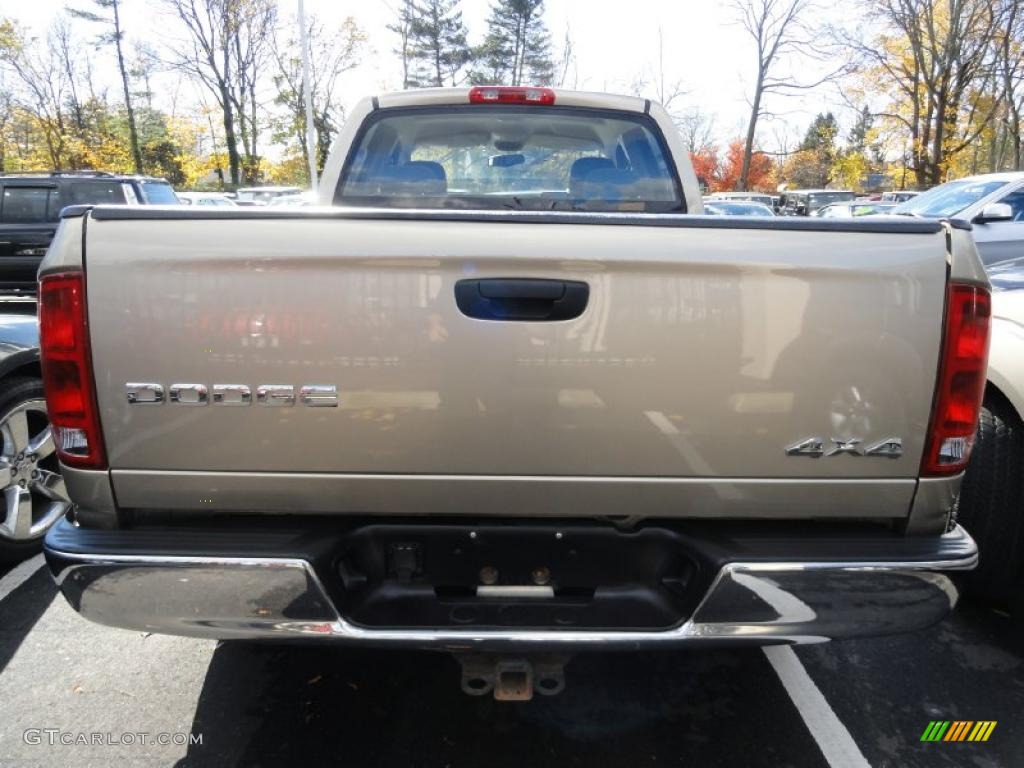 2004 Ram 1500 ST Quad Cab 4x4 - Light Almond Pearl / Dark Slate Gray photo #5