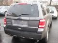 2011 Sterling Grey Metallic Ford Escape XLT 4WD  photo #4