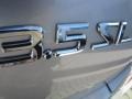 Liquid Silver Metallic - Maxima 3.5 SL Photo No. 16