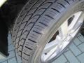 Liquid Silver Metallic - Maxima 3.5 SL Photo No. 31