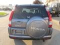 2005 Pewter Pearl Honda CR-V Special Edition 4WD  photo #5