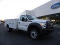 Oxford White - F450 Super Duty XL Regular Cab Chassis Photo No. 1