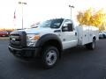 Oxford White - F450 Super Duty XL Regular Cab Chassis Photo No. 6