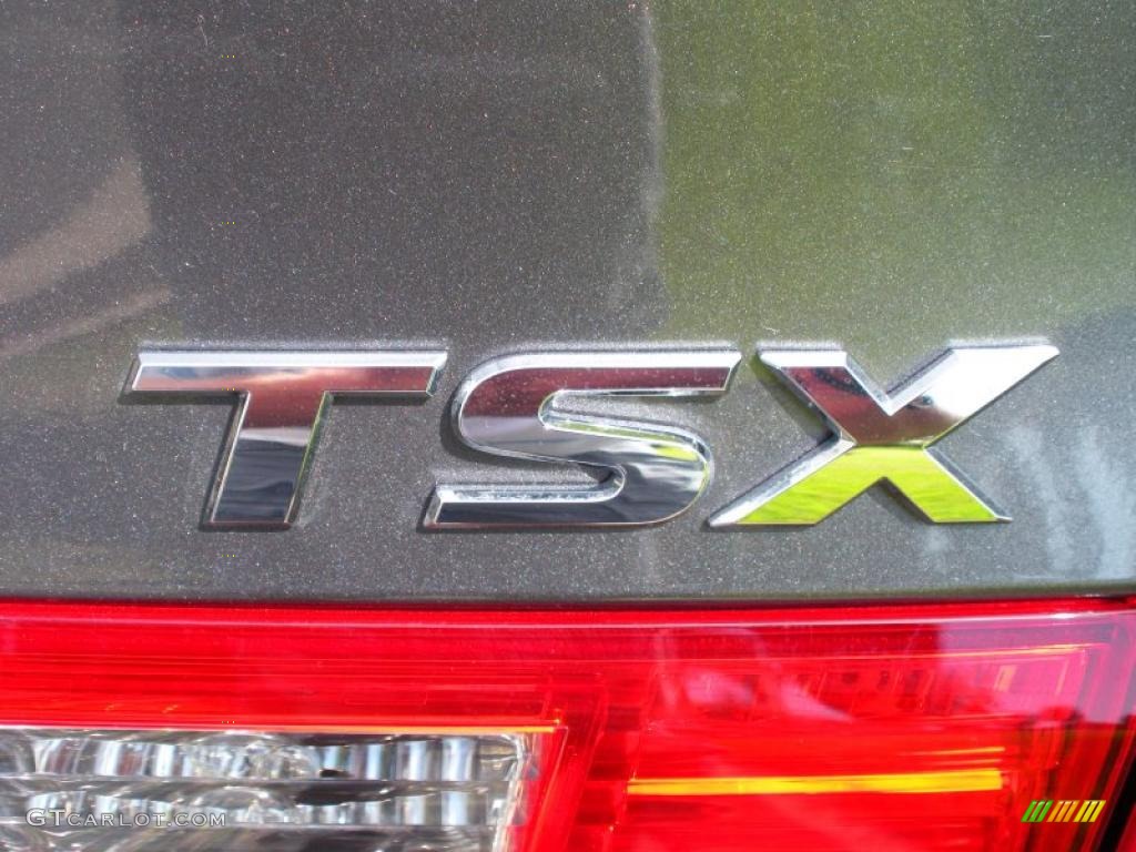 2010 TSX Sedan - Polished Metal Metallic / Parchment photo #9