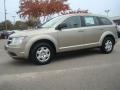 2009 Light Sandstone Metallic Dodge Journey SE  photo #3