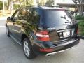 Black - ML 350 Photo No. 3