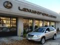 Millenium Silver Metallic - RX 350 AWD Photo No. 1